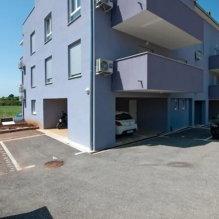 Log In Apartment